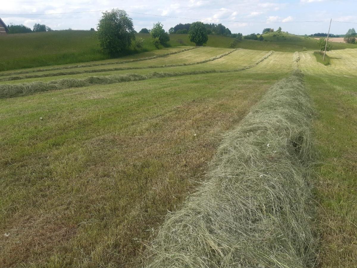 Domek w Kwiatach Zyndaki Zewnętrze zdjęcie